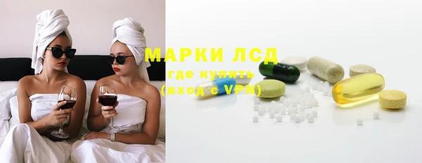 прущие грибы Горно-Алтайск