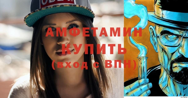 прущие грибы Горно-Алтайск