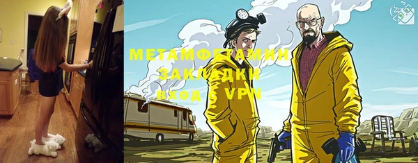 прущие грибы Горно-Алтайск