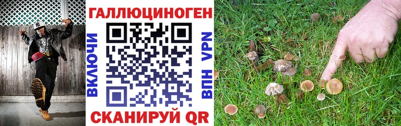 Псилоцибиновые грибы Cubensis  хочу наркоту  Дивногорск 