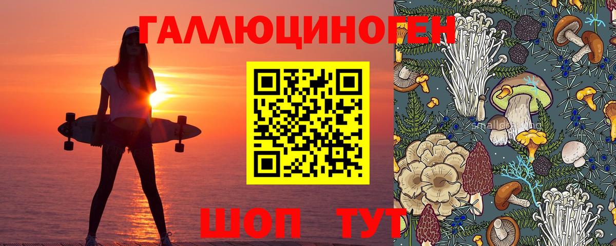 Галлюциногенные грибы Cubensis Дивногорск