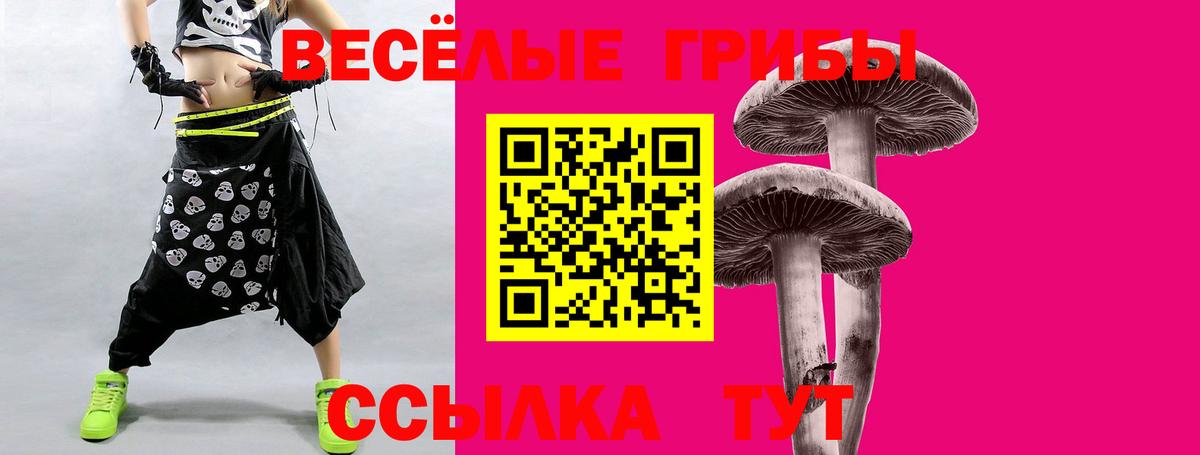 Псилоцибиновые грибы Psilocybe  Галлюциногенные грибы прущие грибы  Вход с VPN  Дивногорск 